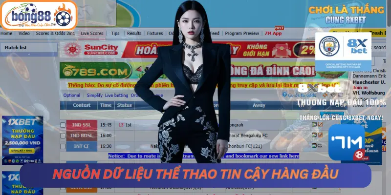 7mcn – Nguồn dữ liệu thể thao tin cậy hàng đầu
